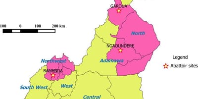 Göstərən bölgələrin Kamerun xəritə